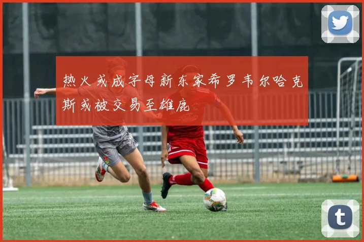 热火或成字母新东家希罗韦尔哈克斯或被交易至雄鹿