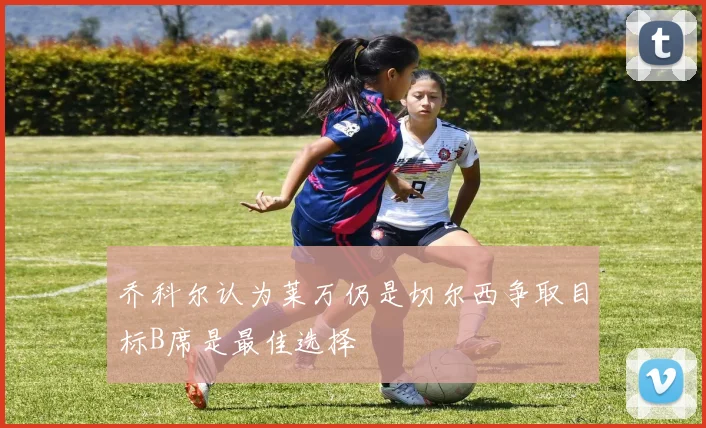 乔科尔认为莱万仍是切尔西争取目标B席是最佳选择