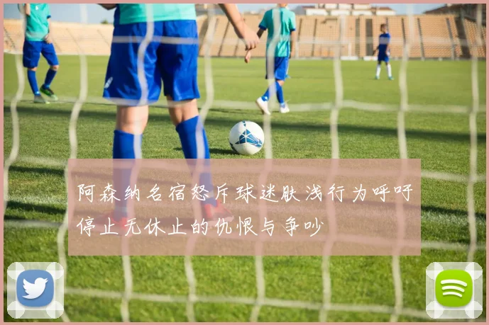 阿森纳名宿怒斥球迷肤浅行为呼吁停止无休止的仇恨与争吵