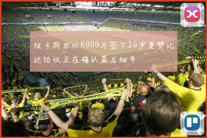 纽卡斯尔以6000万签下20岁曼赞比达协议正在确认最后细节